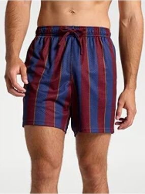 DSG Men’s Mesh Gym Short Burg Throwback Stripe